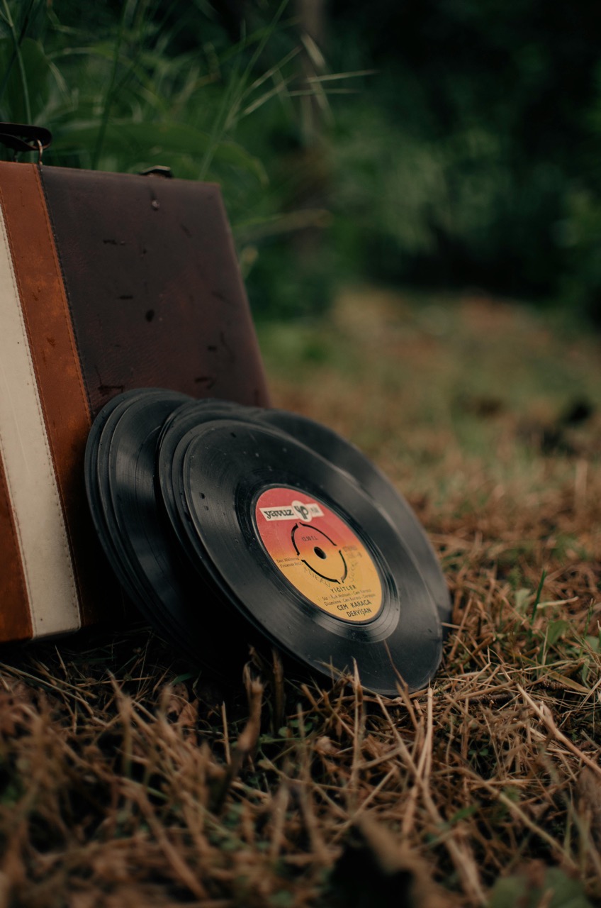 vintage records in grass